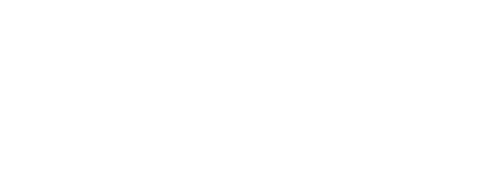 RocketWerkz Logo